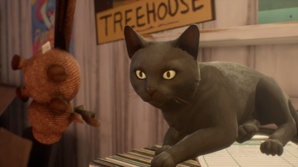 Screenshot of Valkyrie the cat in the record store. Valkyrie is fully black, the fur is short and she has bright yellow eyes, the ears are upright.