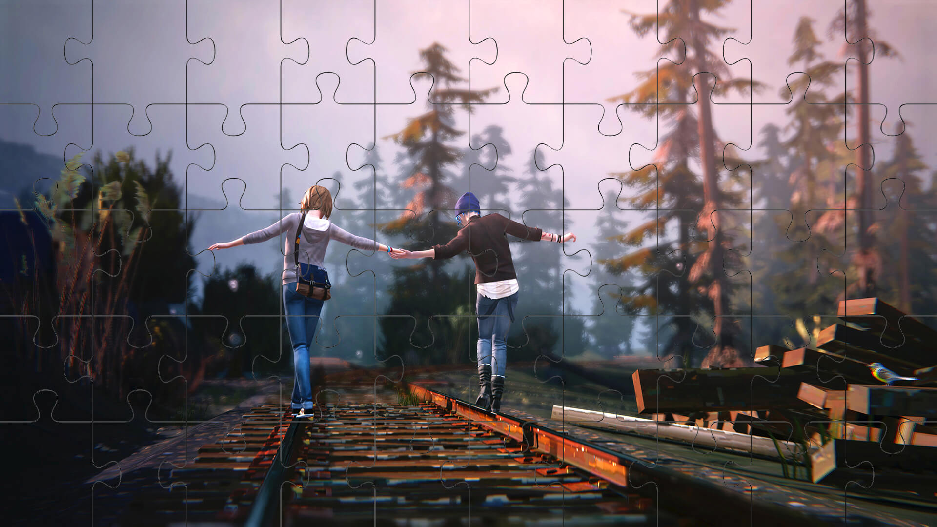 Puzzle 02 Life Is Strange Max And Chloe Railroad Piece 27 Life