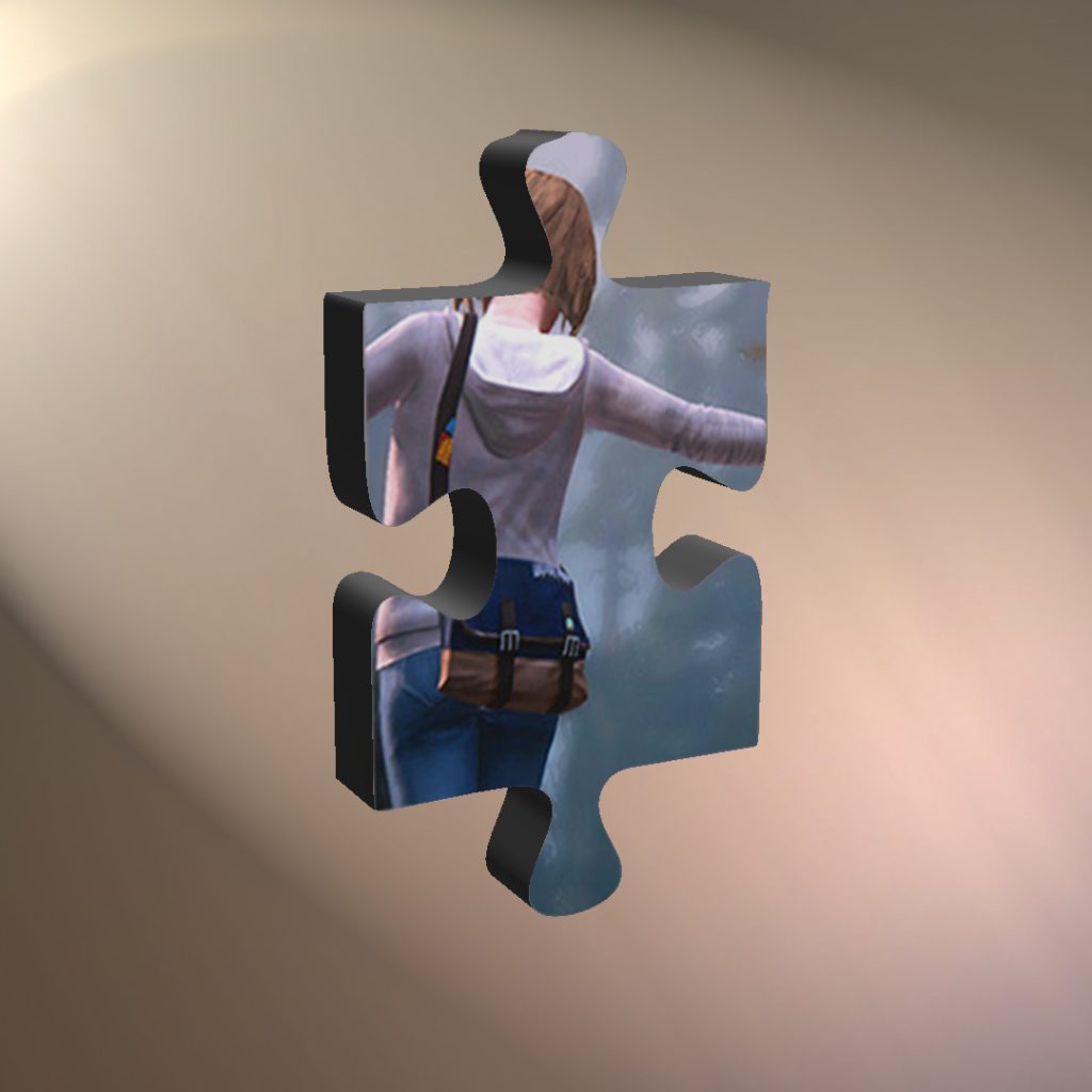 Puzzle 02 Life Is Strange Max And Chloe Railroad Piece 24 Life