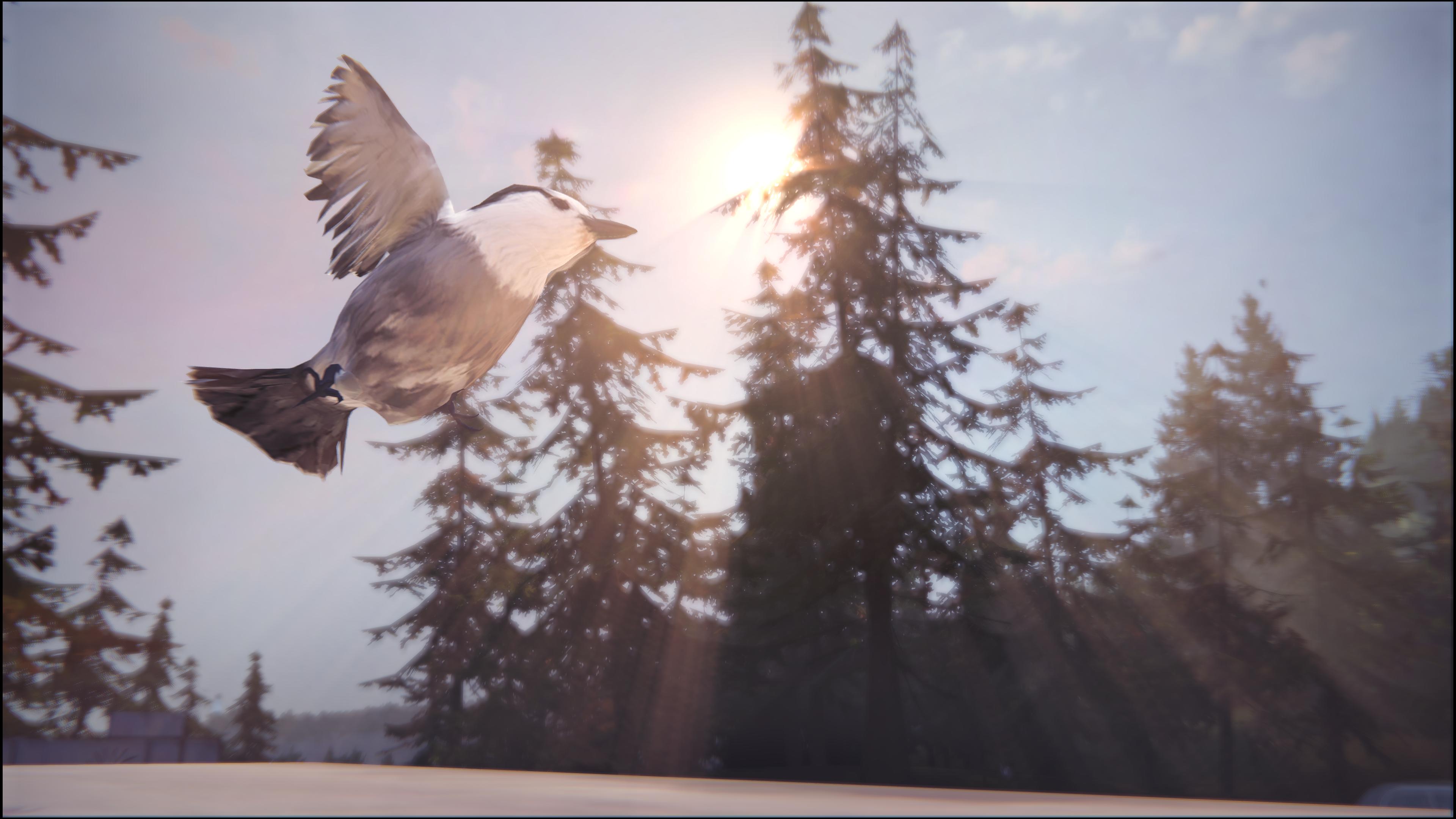 Life is Strange: True Colors screenshots - Image #30316